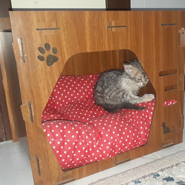 SÖNMEZ VETERİNER KLİNİĞİ foto 2