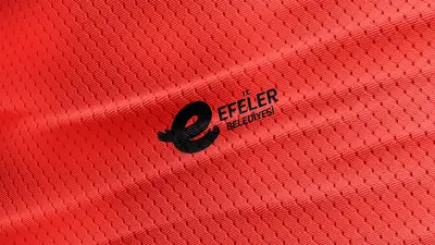 T.C. Efeler Belediyesi