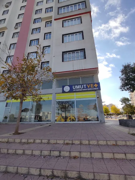 Umut Veteriner Muayenehanesi foto 1