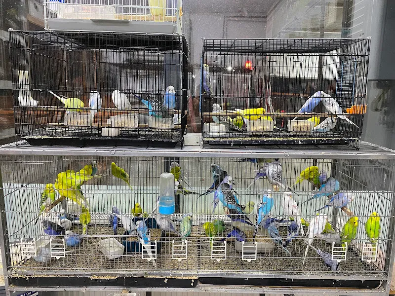 Efe Petshop foto 2