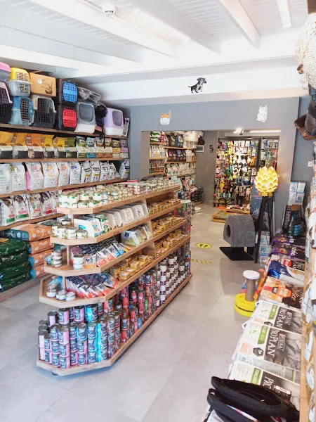 kutup petshop foto 2