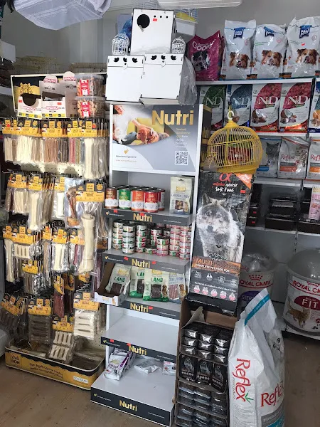 PETTHINGS PETSHOP TOPTAN VE PARAKENDE foto 2