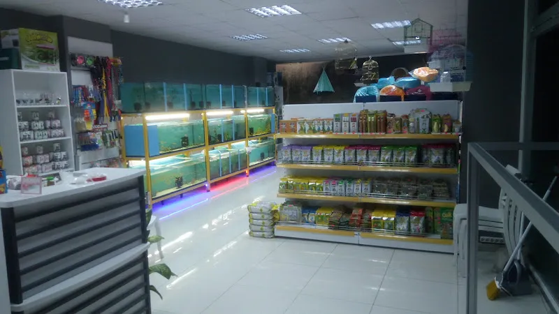 İlgi Akvaryum foto 2
