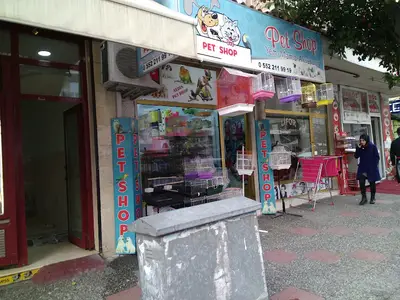 Pati Petshop