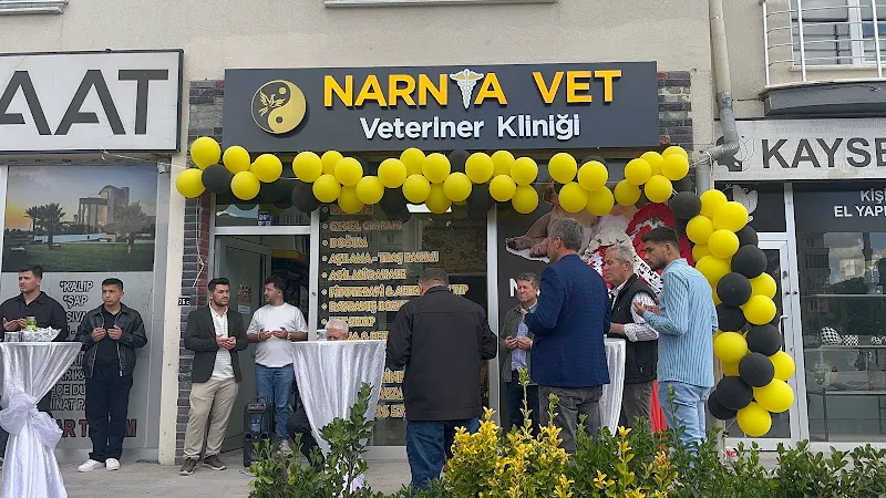 Narniavet Veteriner Kliniği foto 1