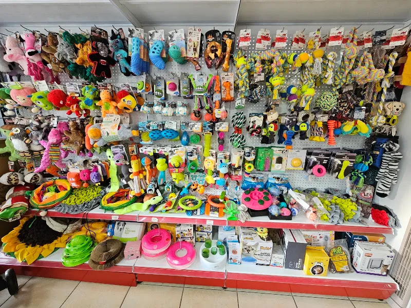 Elit Petshop Adalet Şubesi foto 2
