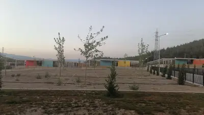 PAKO SOKAK HAYVANLARI SOSYAL YAŞAM KAMPÜSÜ fotoğrafı