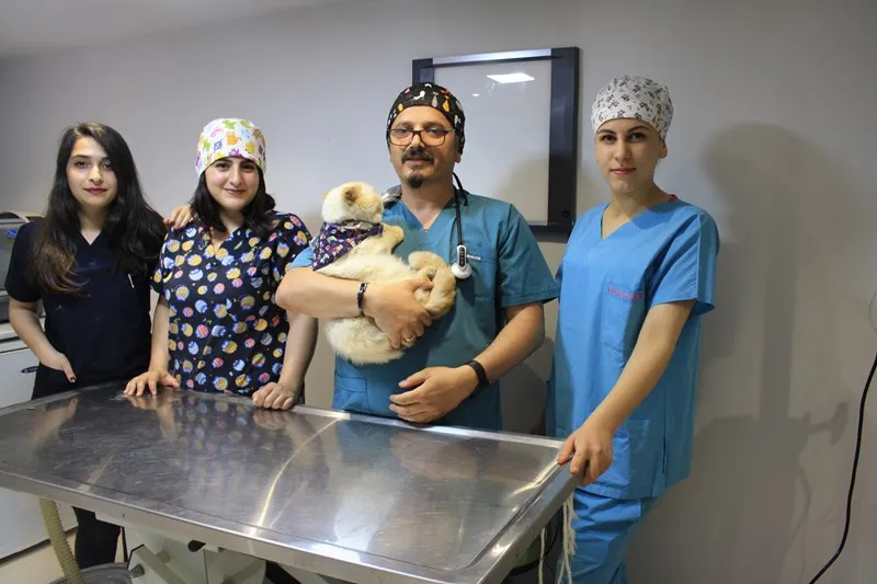 Kadıköy Veteriner Kliniği | Kuyubaşı | Ziverbey foto 1