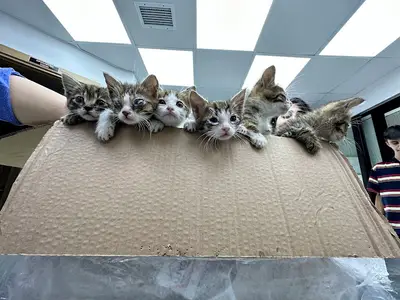 Danacı Vetlife
