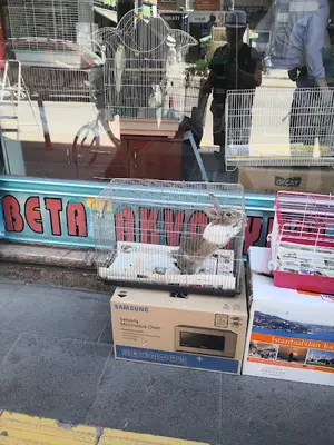 Beta Akvaryum