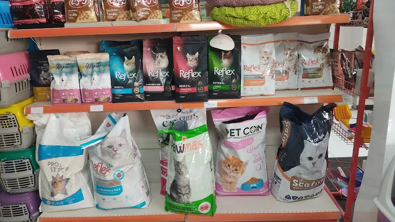 Van EFE PETSHOP foto 2
