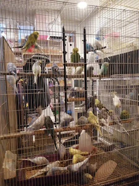 Çanakkale HALIKARNAS PETSHOP foto 2
