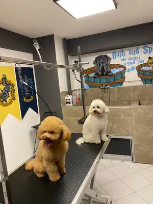 Hogwarts Pet Kuaför & Pet Shop
