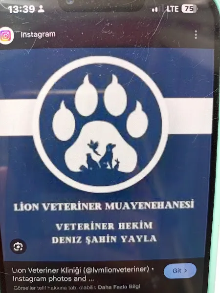Lvmgiresun foto 2