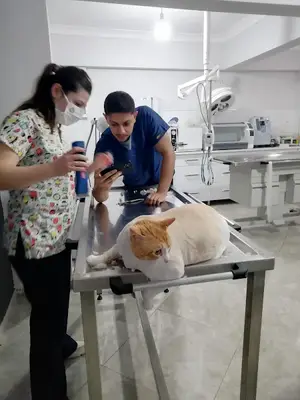 Egebaşı Veteriner Kliniği