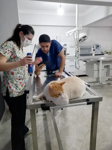 Egebaşı Veteriner Kliniği foto 1