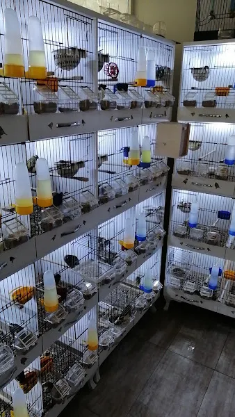 Emre Kuşcu Pet shop foto 1