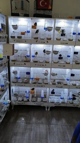 Emre Kuşcu Pet shop foto 2