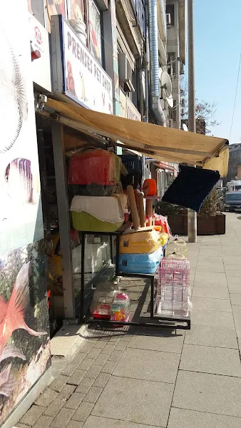My-Sarı Pet Shop (depo) foto 2