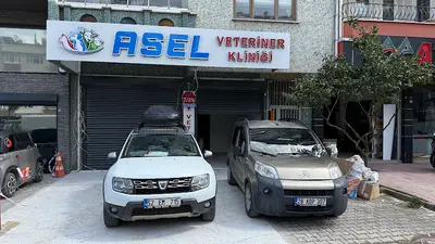 Asel veteriner Kliniği