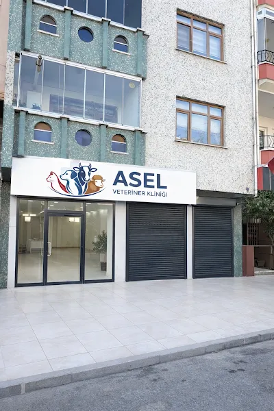 Asel veteriner Kliniği foto 2