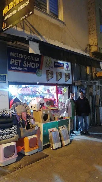 Melekçigiller Akvaryum ve Petshop foto 2