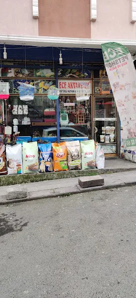 Ece Akvaryum Petshop foto 1