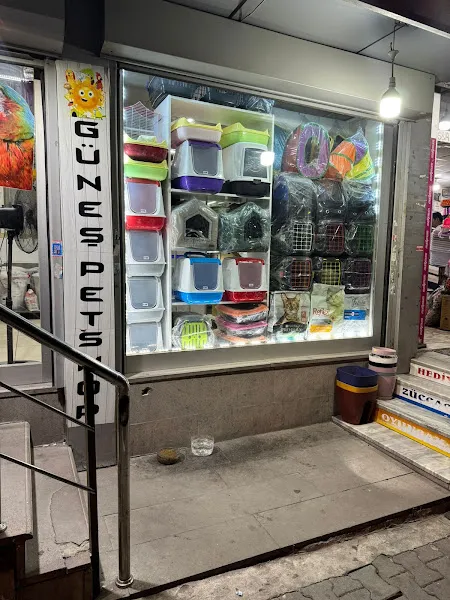 Ece Akvaryum Petshop foto 2