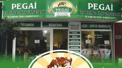 Pegai Tarım Ve Hayvancılık