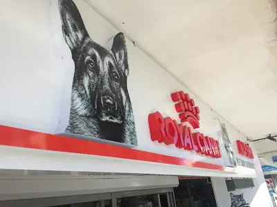 Alpemir Pet Shop Akvaryum