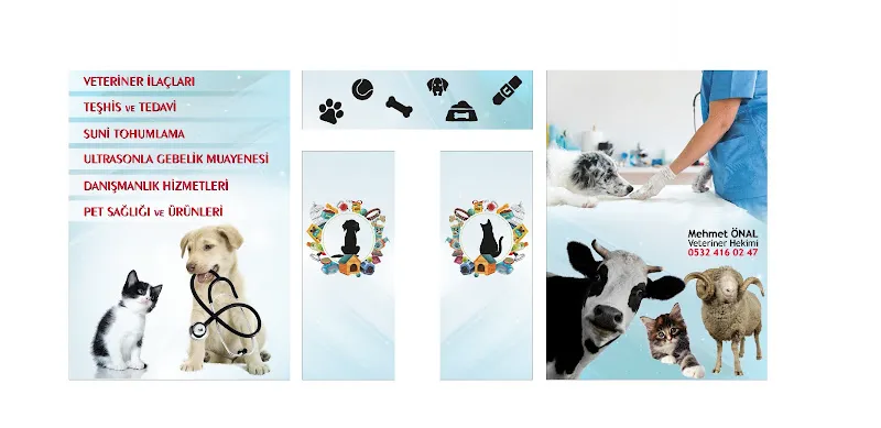 Yaşam Veteriner Kliniği foto 2