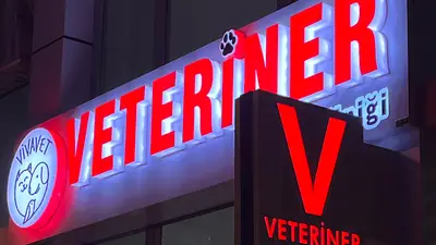 Vivavet Veteriner Kliniği | Bahçelievler