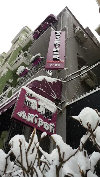 ANİPOLİ VETERİNER KLİNİĞİ foto 2