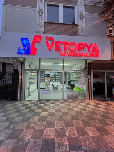 VETOPYA VETERİNER KLİNİĞİ foto 1
