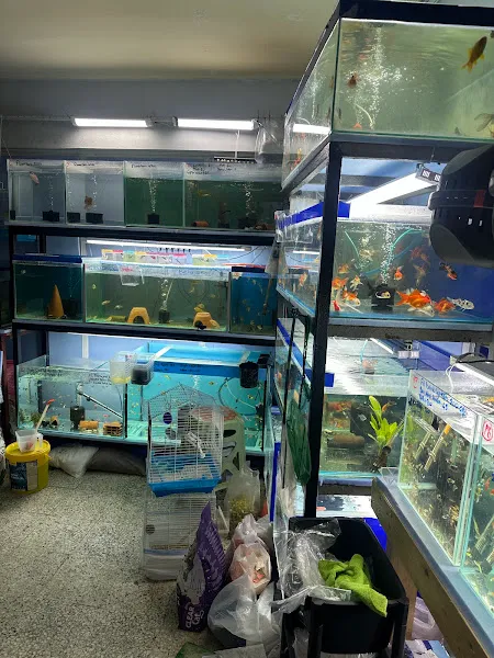 Nilanka Petshop foto 2