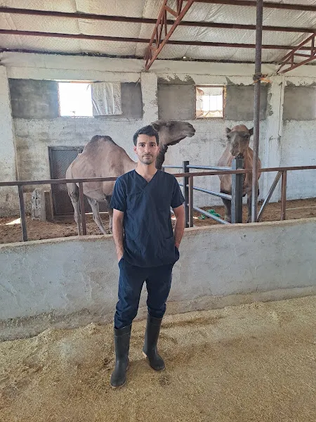 Ararat veteriner kliniği foto 1
