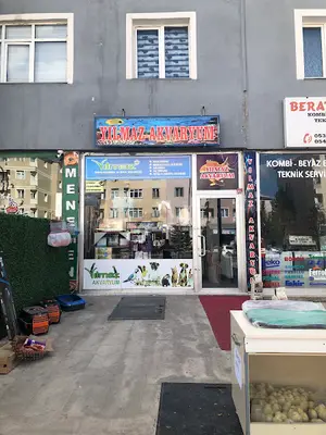 PETSHOP DADAŞKENT