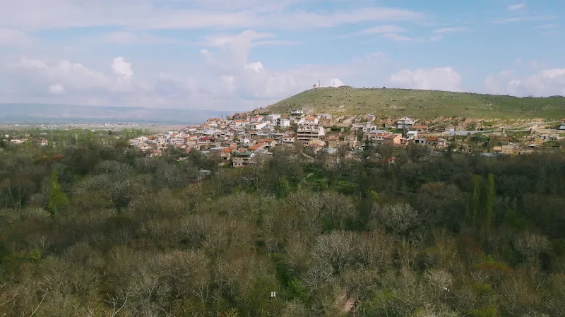 SOYKUK TARIM VE HAYVANCILIK foto 2