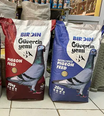 Ayas petshop