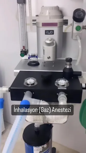 Petunya Veteriner Kliniği foto 2