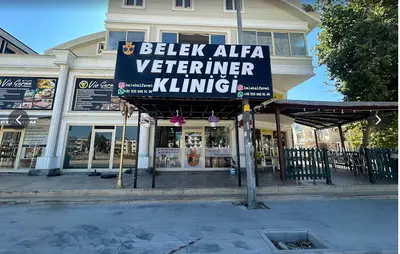 Belek Alfa Veteriner Kliniği