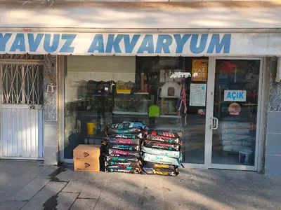 Güvercinci Mesur