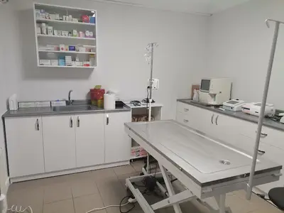 Dogtor Veteriner Kliniği 7/24 | Evcil Hayvan Oteli fotoğrafı