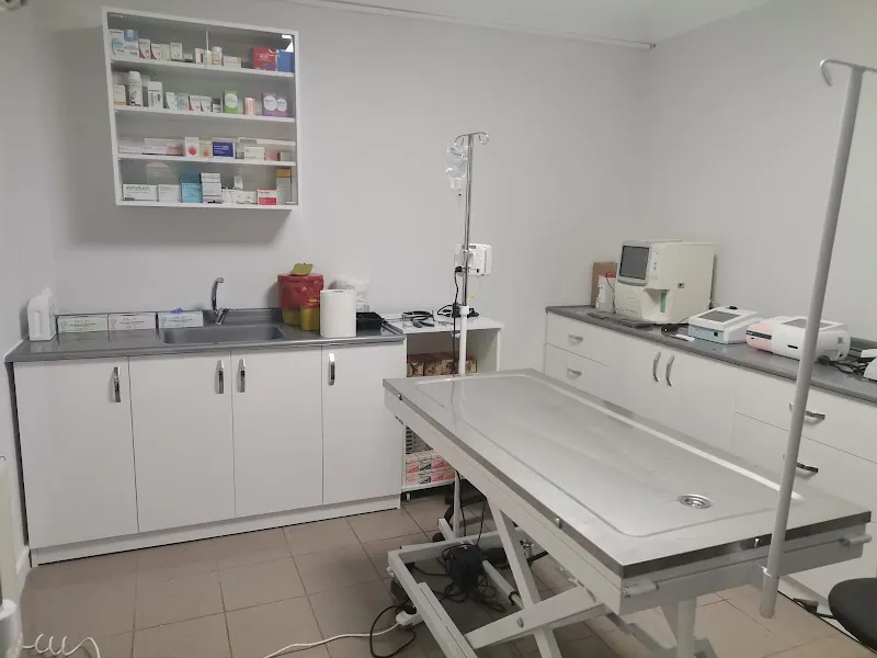Dogtor Veteriner Kliniği foto 1
