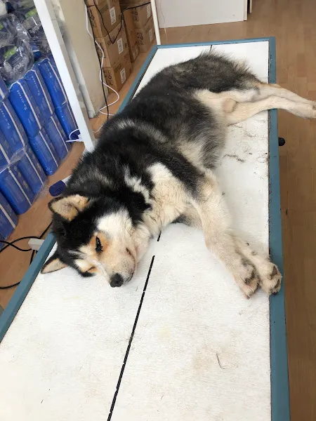 Empati Veteriner Kliniği foto 2