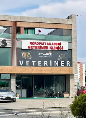 Nöropati Akademi Veteriner Kliniği