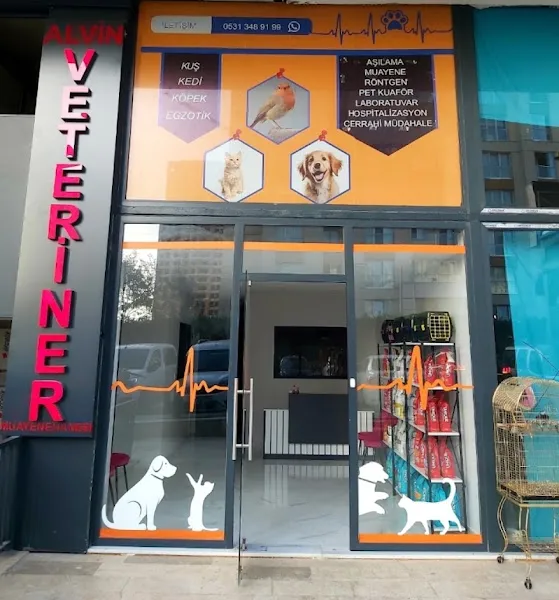 ALVİN Kedi-Köpek , Kuş ve Egzotik Veteriner Kliniği Ispartakule Bahçeşehir foto 1