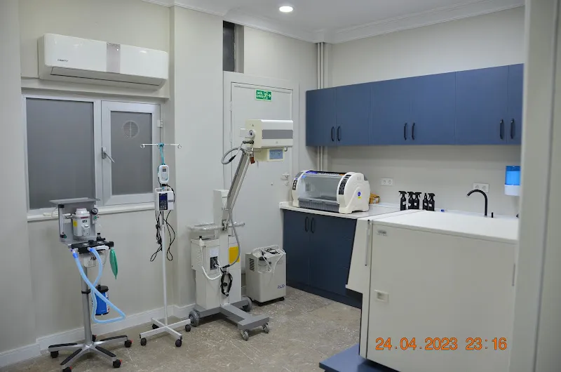 ÜSKÜDAR VETLOG VETERİNER KLİNİĞİ foto 2