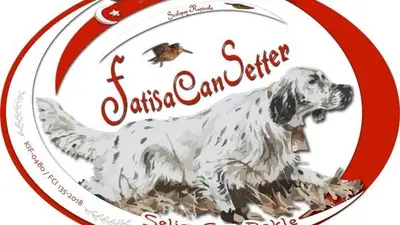 Sanabelle Cat Food