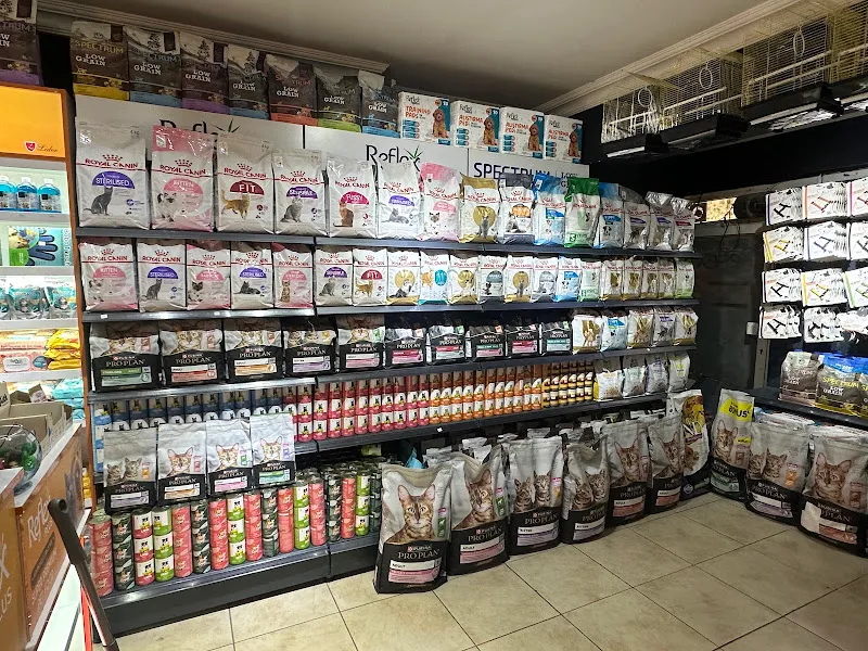 Umut Petshop foto 2